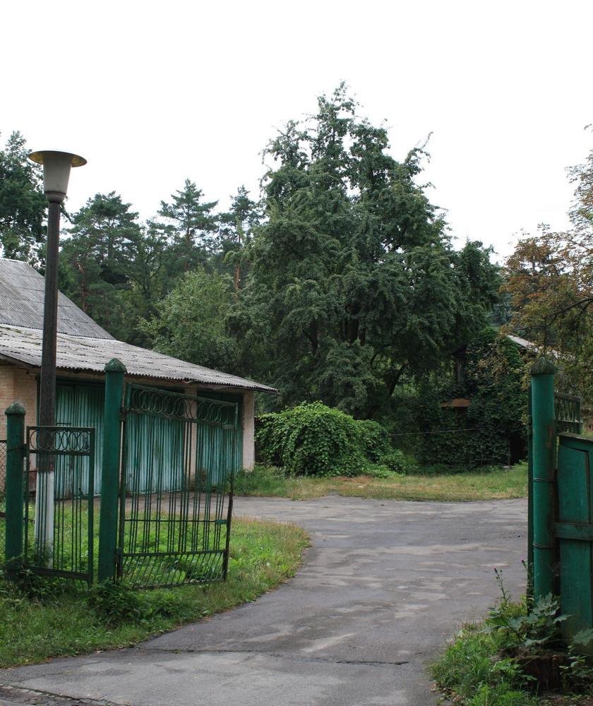 Ворзель, август 2009
