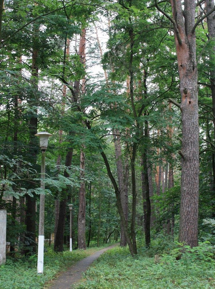 Ворзель, дом тв. Композиторов, 09.2009