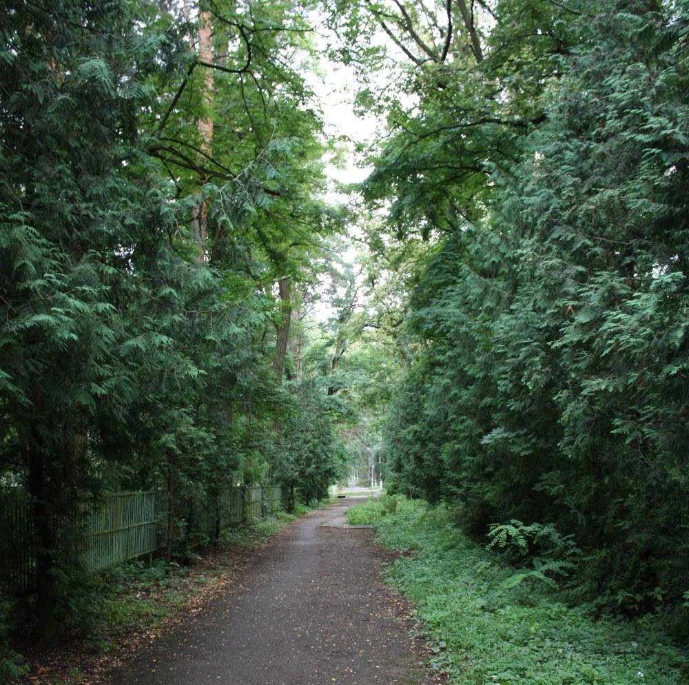 Ворзель, 09.2009