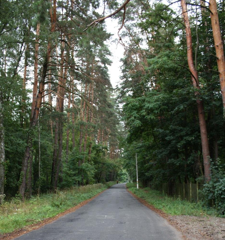 Ворзель, 09.2009