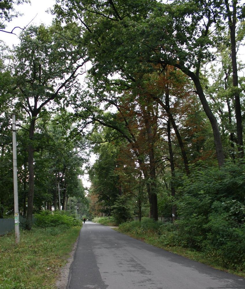 Ворзель, 09.2009