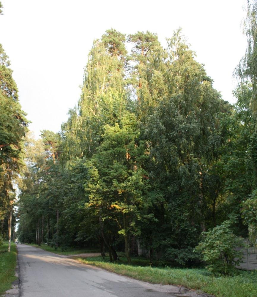Ворзель, 09.2009