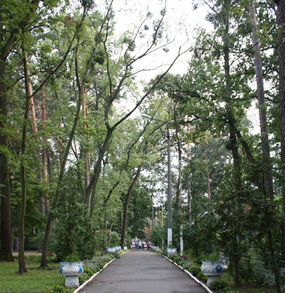 Ворзель, панс Победа, 09.2009