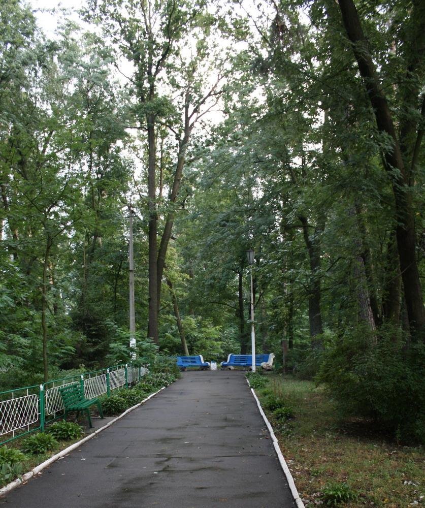 Ворзель, панс Победа, 09.2009