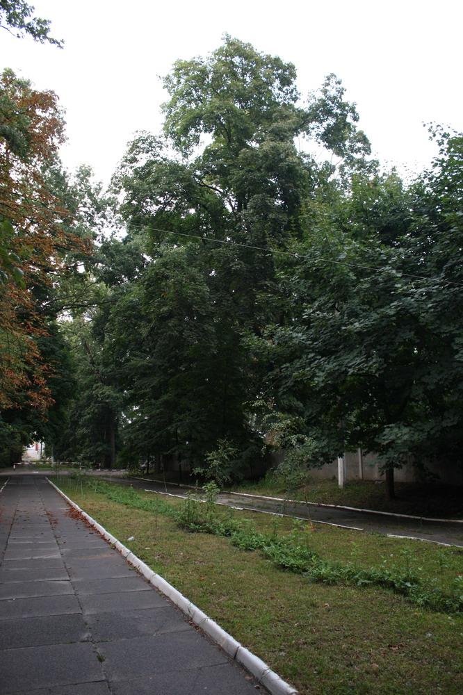 Ворзель, 09.2009