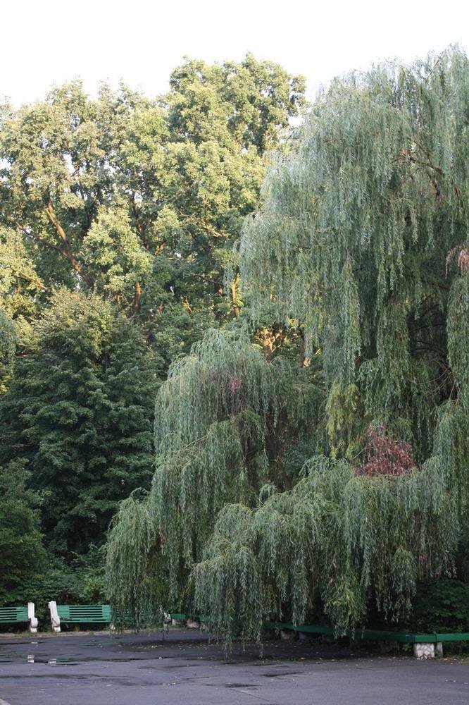 Ворзель, 09.2009