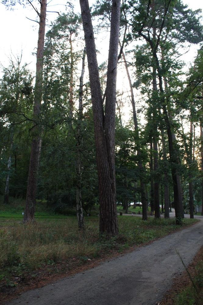 Ворзель, 09.2009