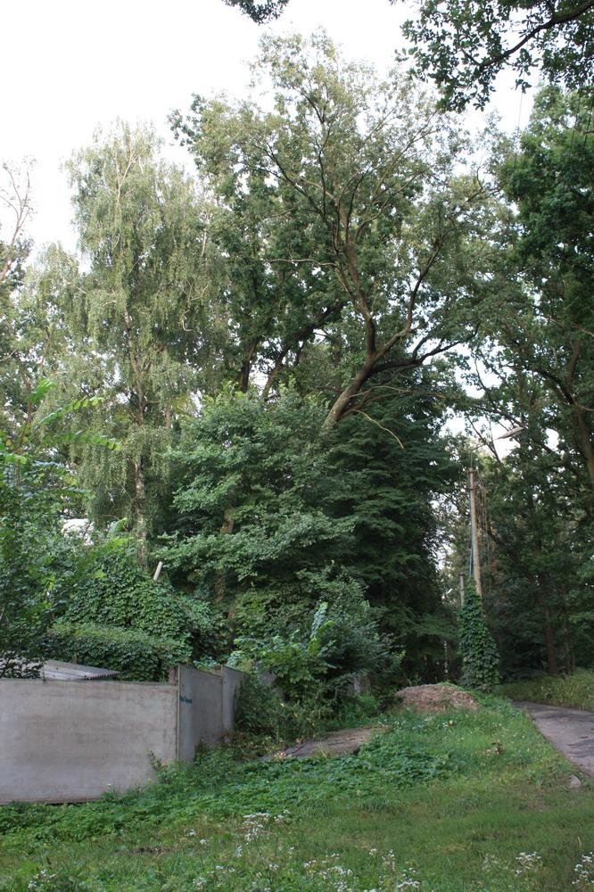 Ворзель, 09.2009