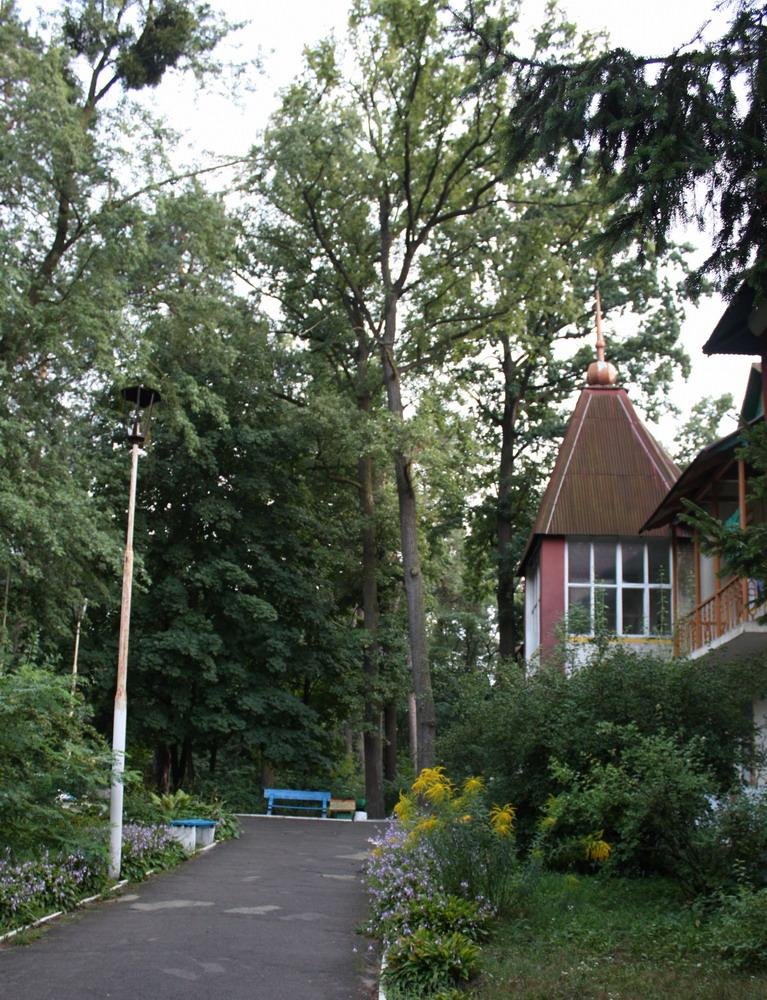 Ворзель, пансион Победа, 09.2009