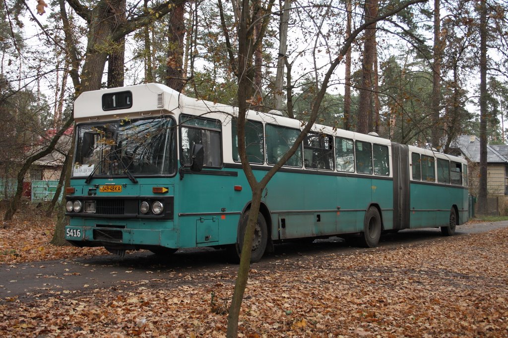 Bus
