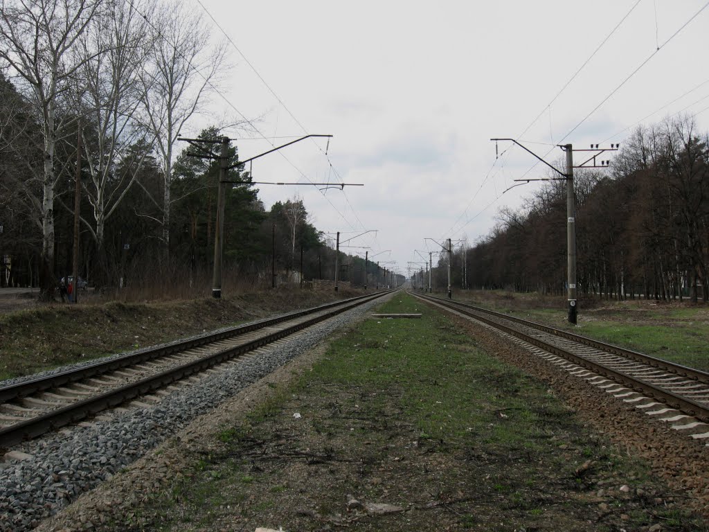 залізничний краєвид * a railway landscape
