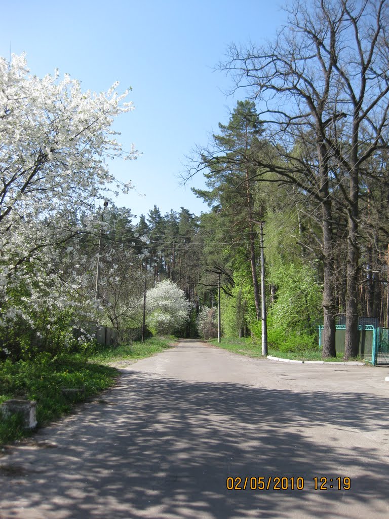УЛ. АРТЕМА