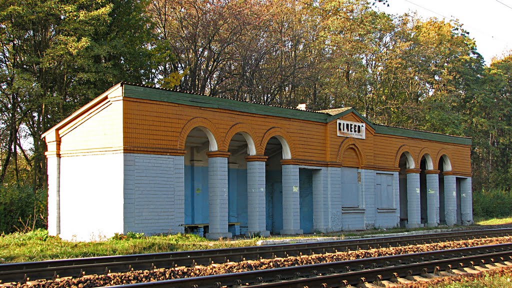 Павільйон з.п. Кічеєво, 22.10.2008