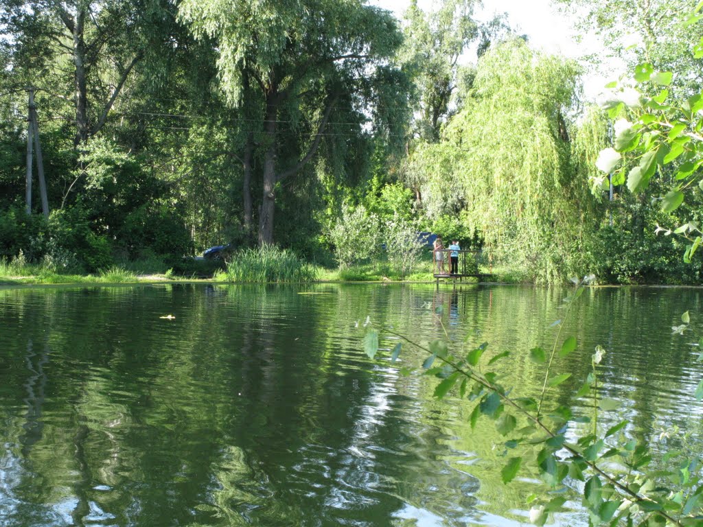 Vorzel lake, June 10