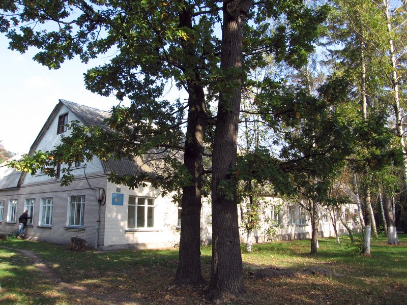 Роддом, Ворзель