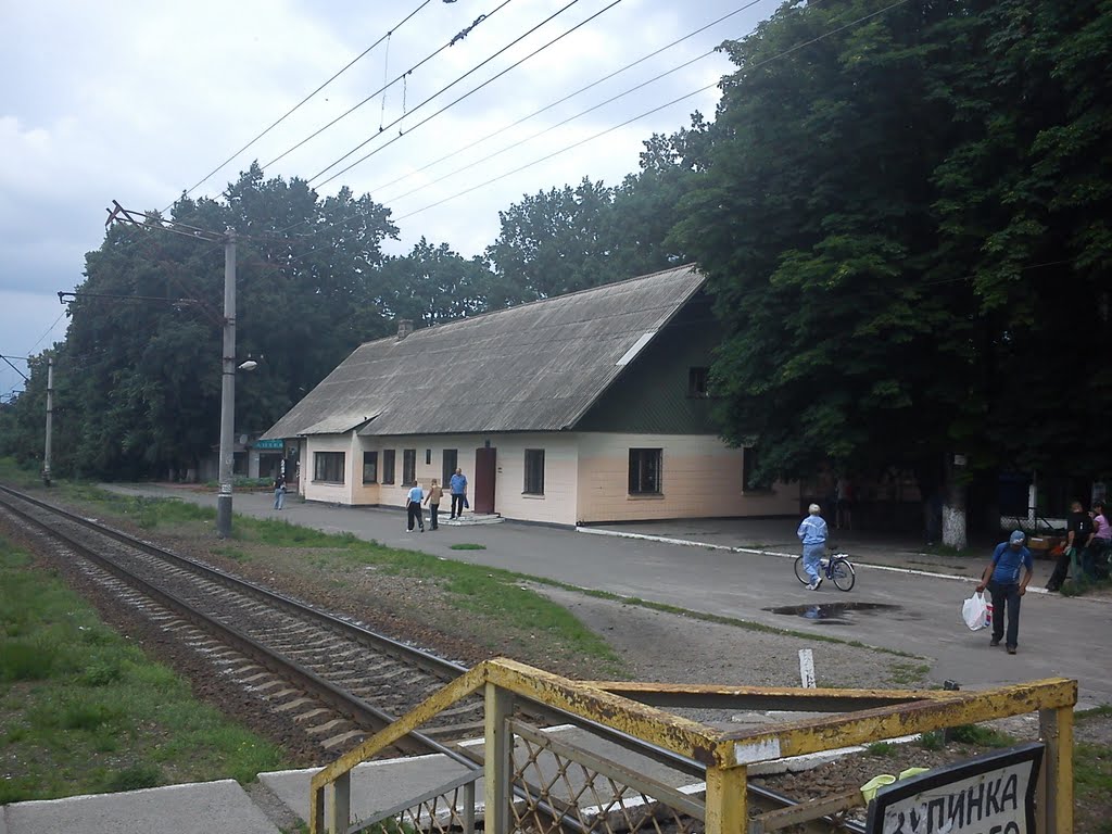 ст. Ворзель