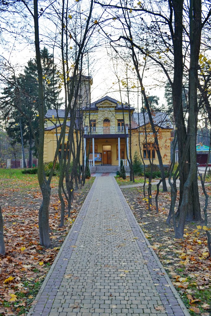 Ворзель. Усадьба графини Уваровой. Нач. 20в. / Vorzel. Manor Countess Uvarova. Early. 20 cen.