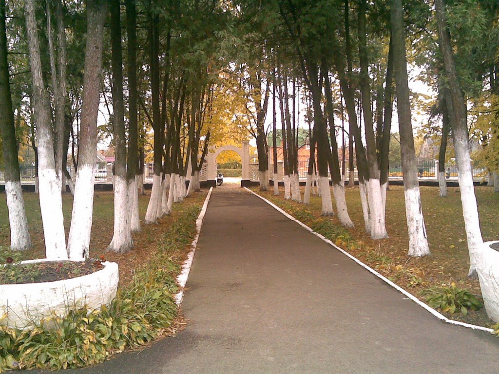алея