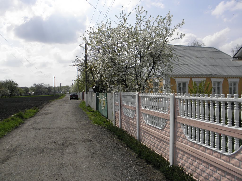 ул. Ватутина