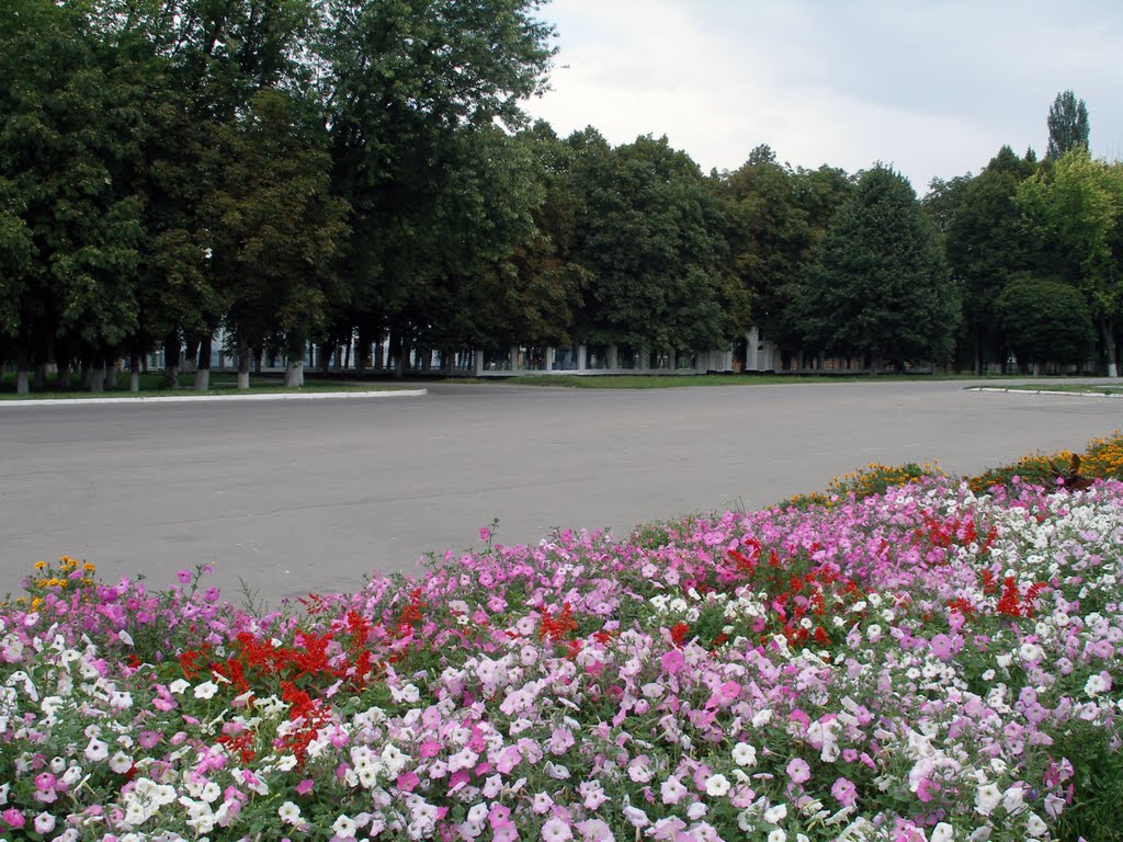Центр селища лiтом