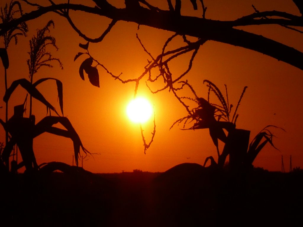 Sun set