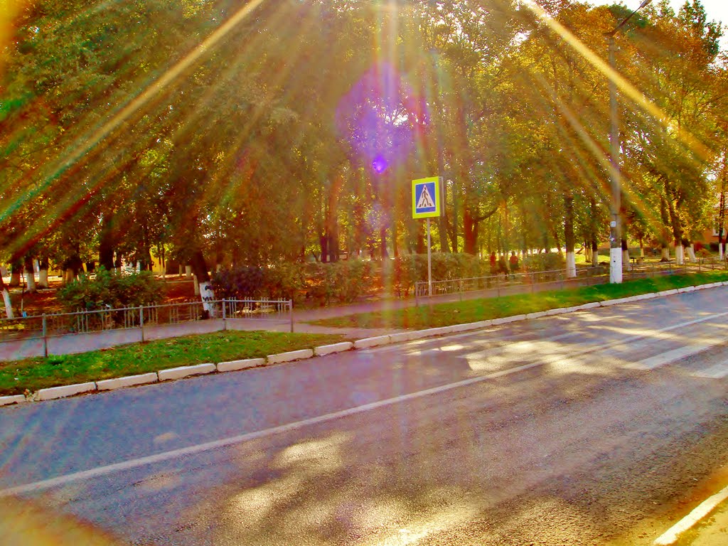 Пешеходный переход от школы к парку.