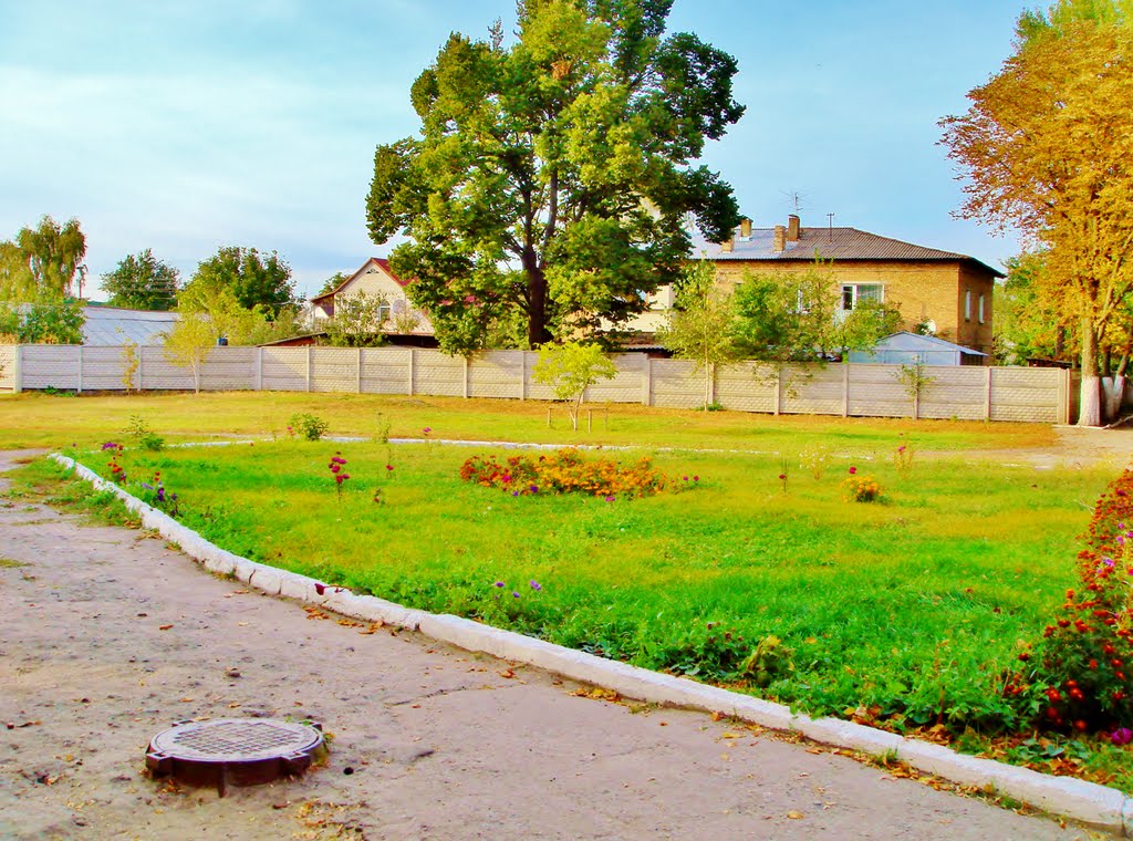 Клумбы в школьном дворе.