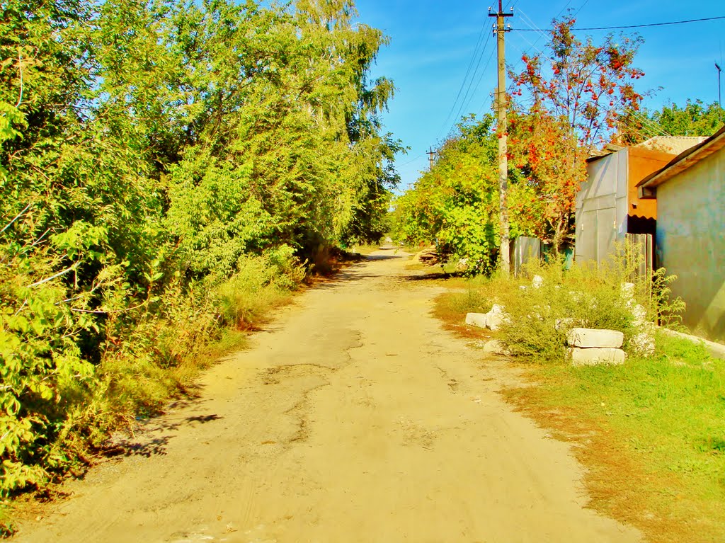 Улица Космонавтов.
