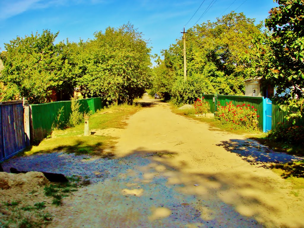 Улица Космонавтов.