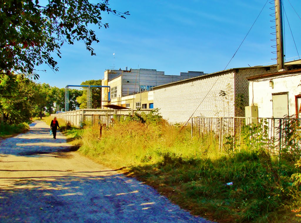 Кромка производственных корпусов.