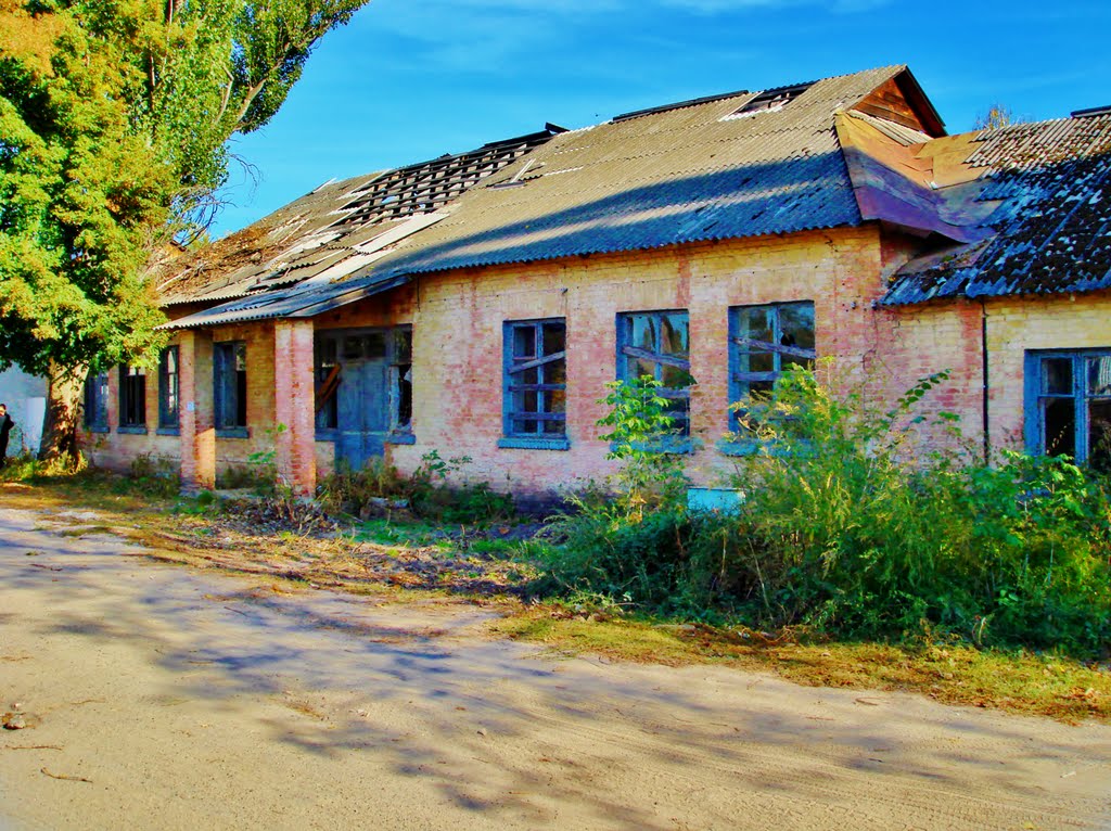 Дом на улице Днепровской.