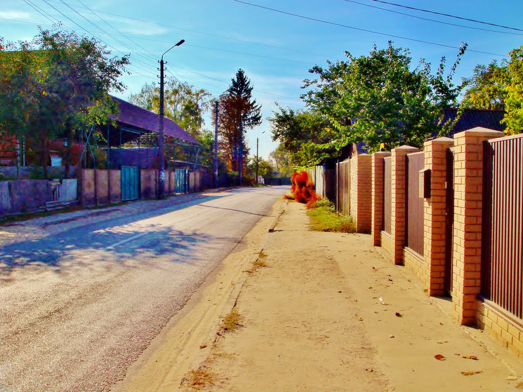 Улица Горького.