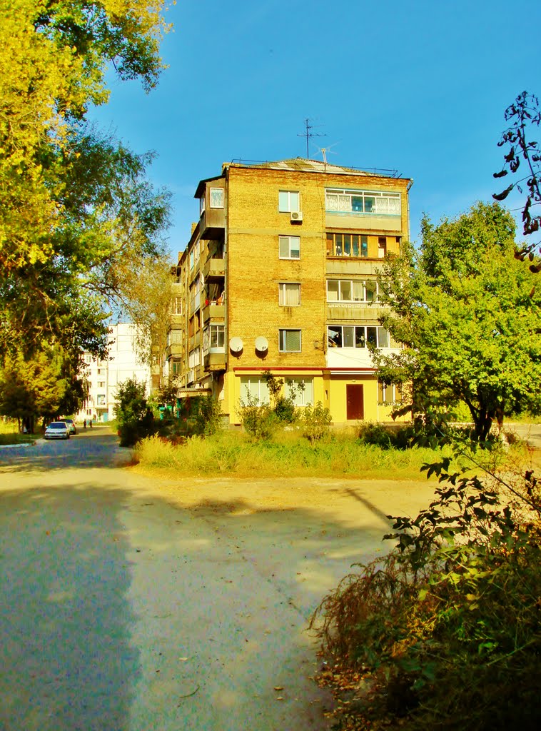 Кирпичная пятиэтажка.