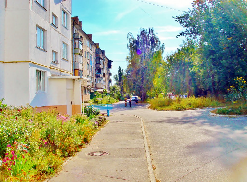 Дворовые дорожки среди клумб.