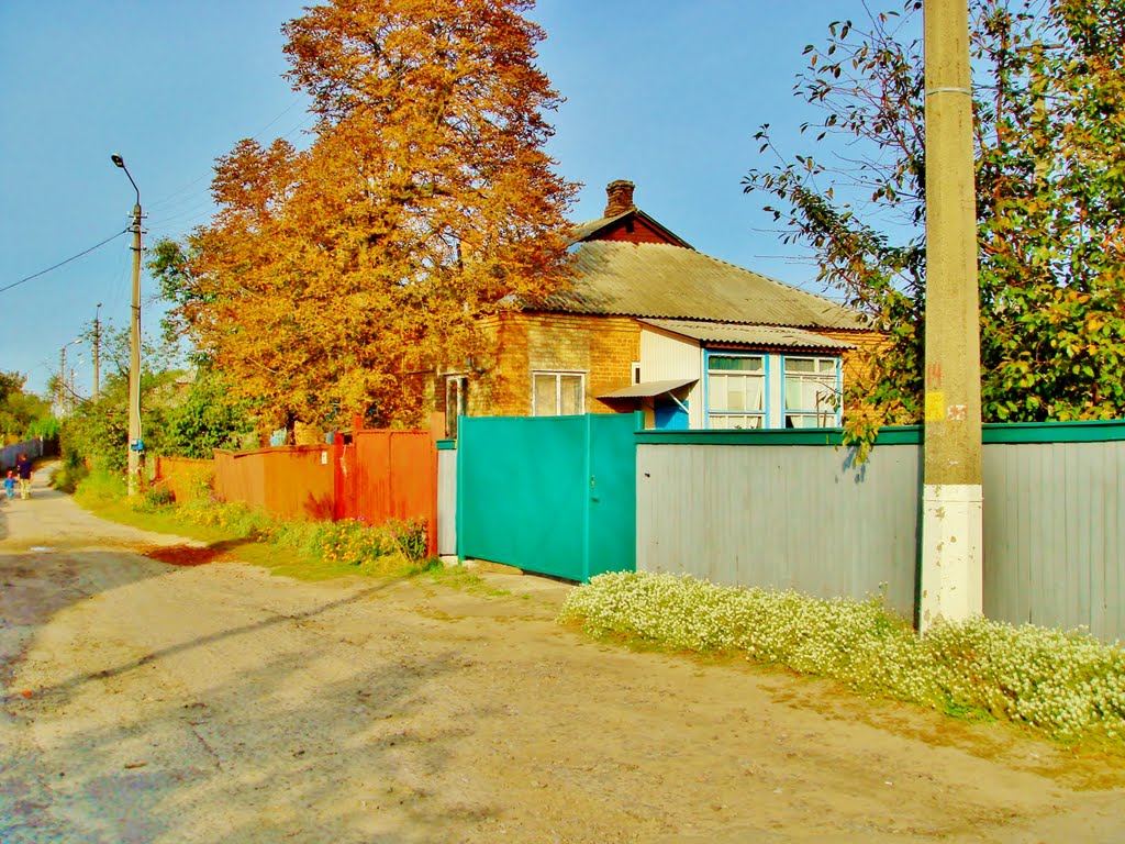 Улица Пушкина, 7.