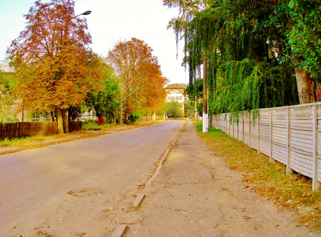 Ул.Бударина, 9. Ограждение школьного двора.