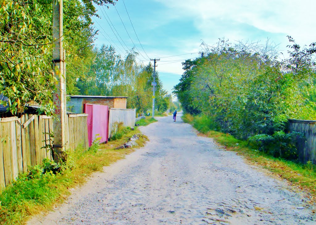 Улица Степана Разина.