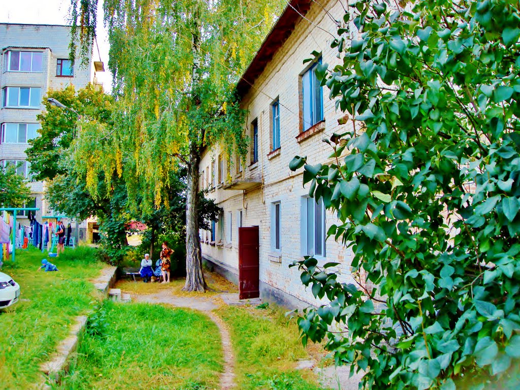 Ул.Бударина, 2. Внутренний двор.