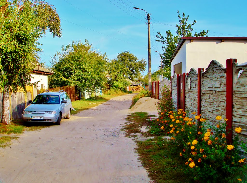 Улица Пущкина.