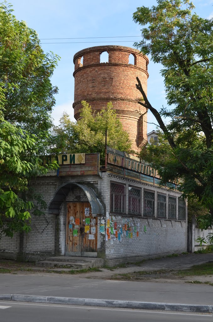 Дымер. Водонапорная башня. 1957г./ Dimer. Water Tower. 1957