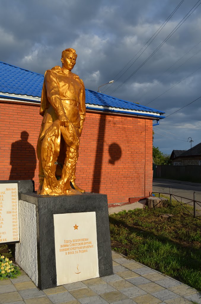 Памятник героям ВОВ / The monument to the heroes of the Great Patriotic War