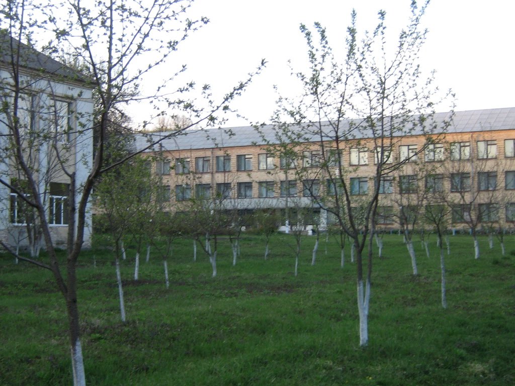 Згурівська ЗОШ І-ІІІ ст.