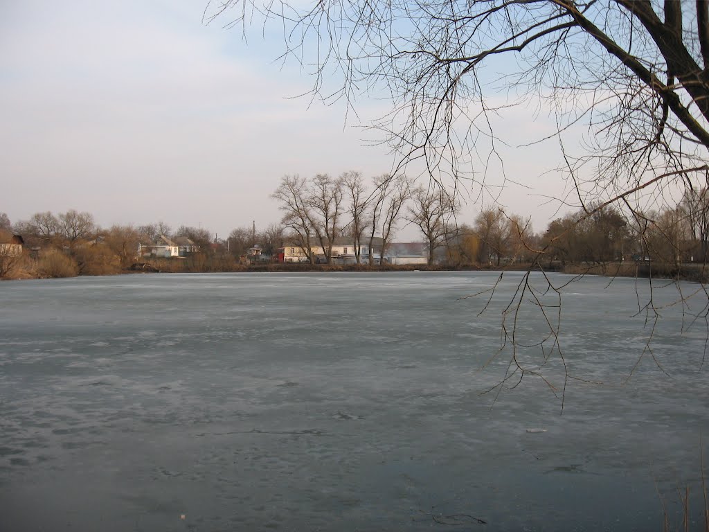 ставок у березні * pond in March