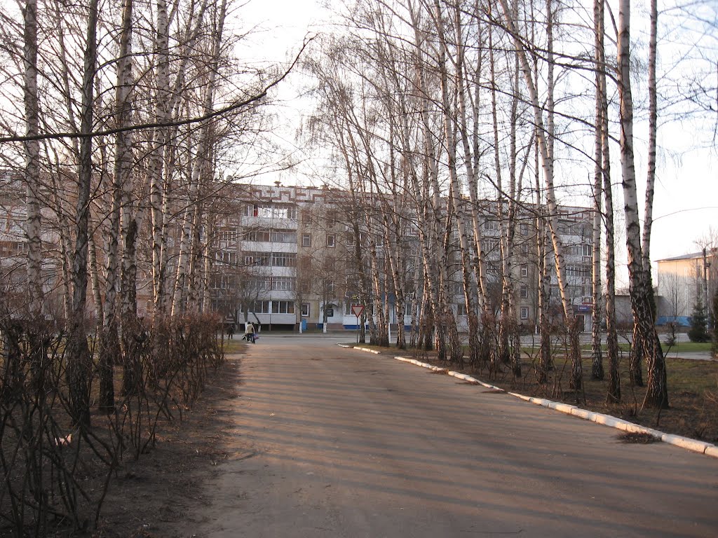 вихід зі згурівського парку