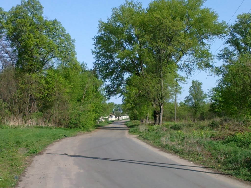 road