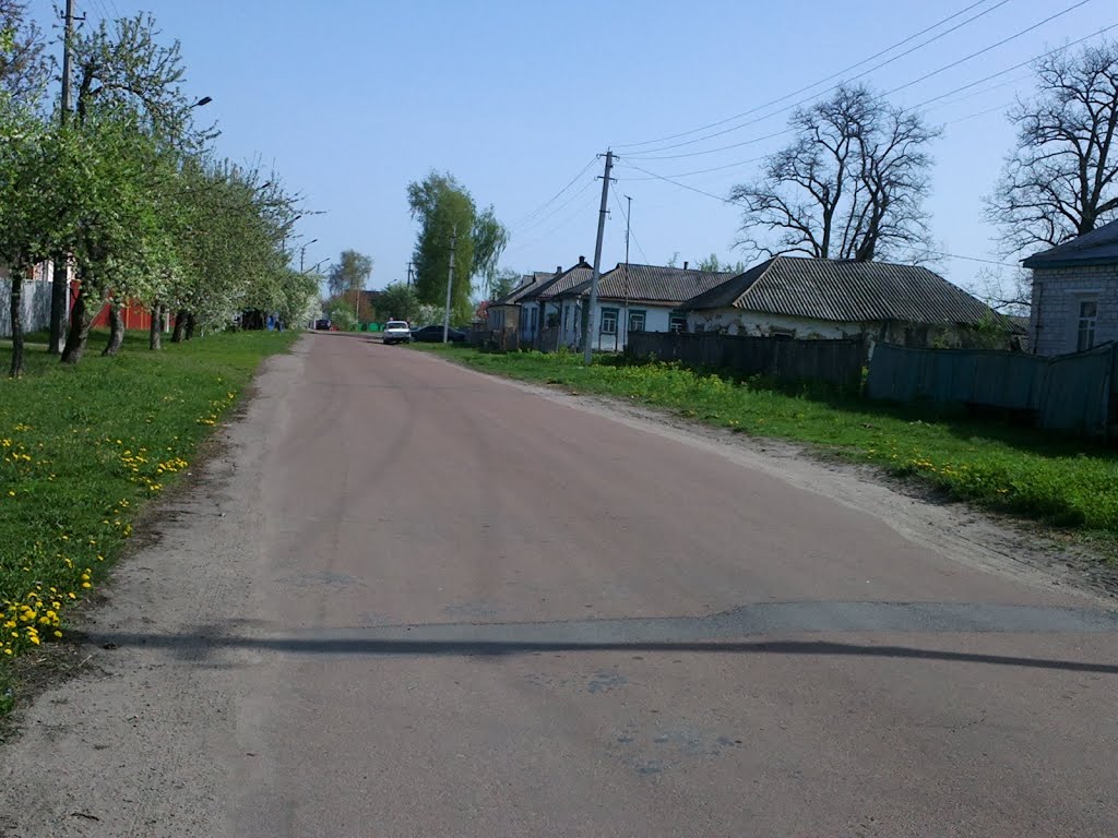 Mayakovskogo St.