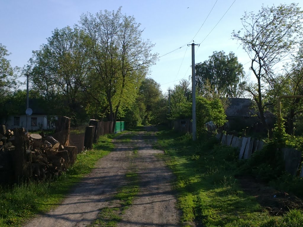 lane