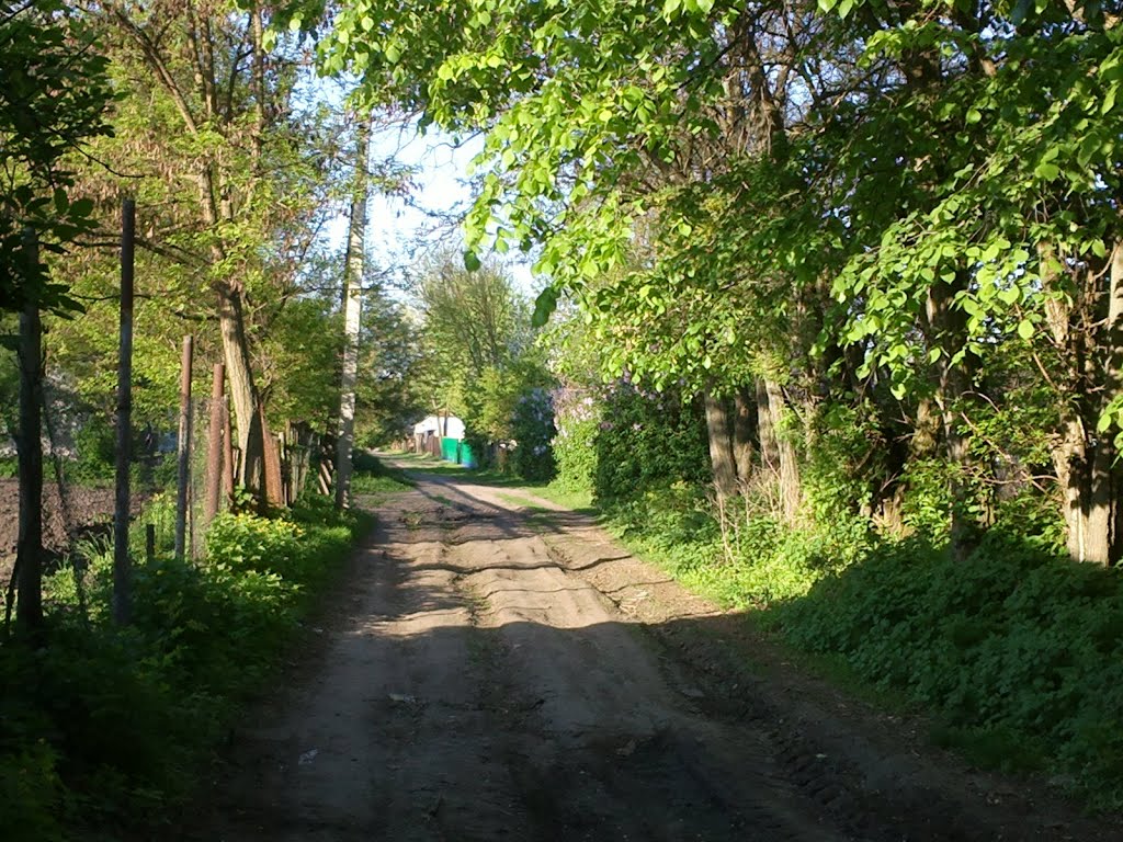 lane