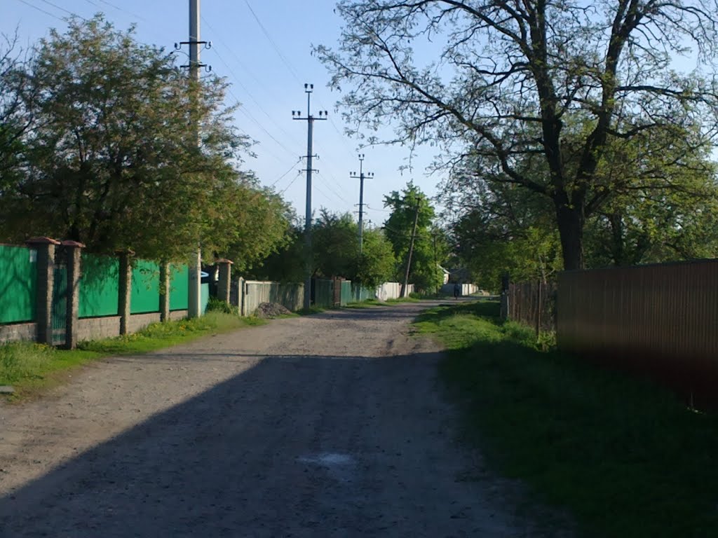 Gorkogo St.