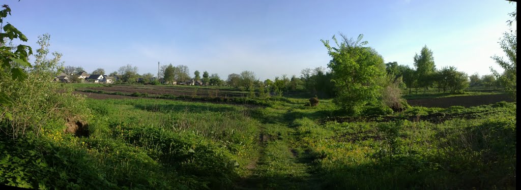 kitchen gardens